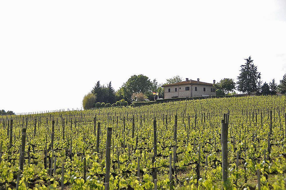 Il Colombaio, Siena -Appartamenti E Camere- Isola d'Arbia Luaran gambar