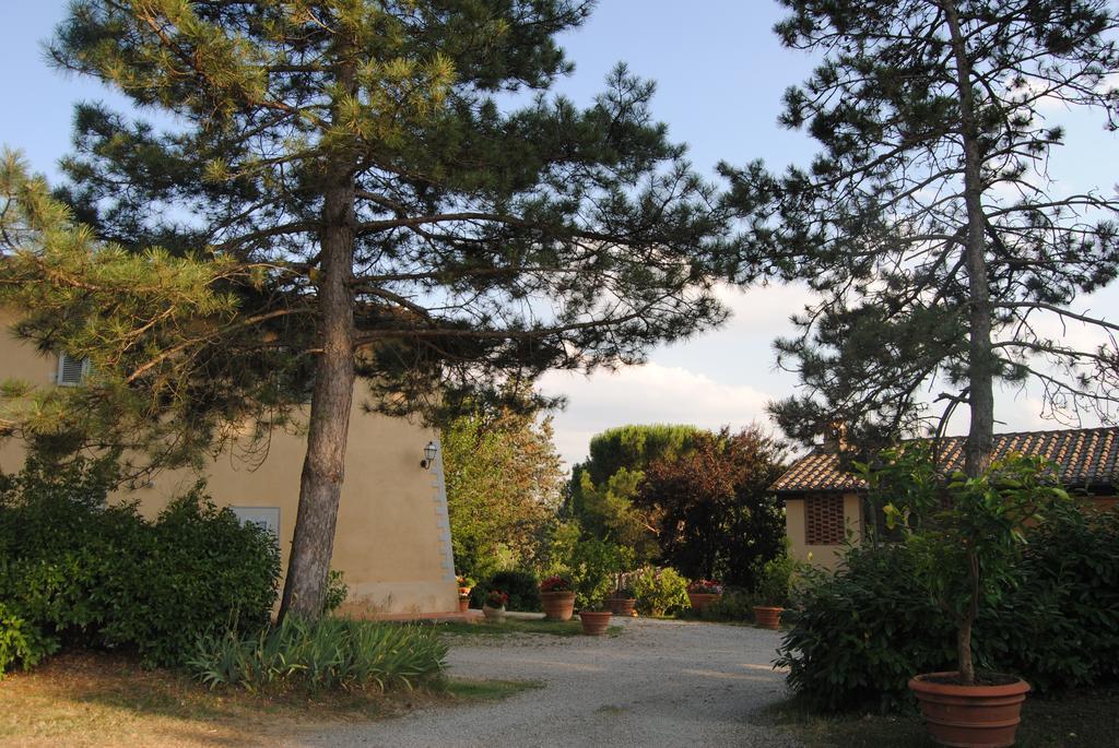 Il Colombaio, Siena -Appartamenti E Camere- Isola d'Arbia Luaran gambar