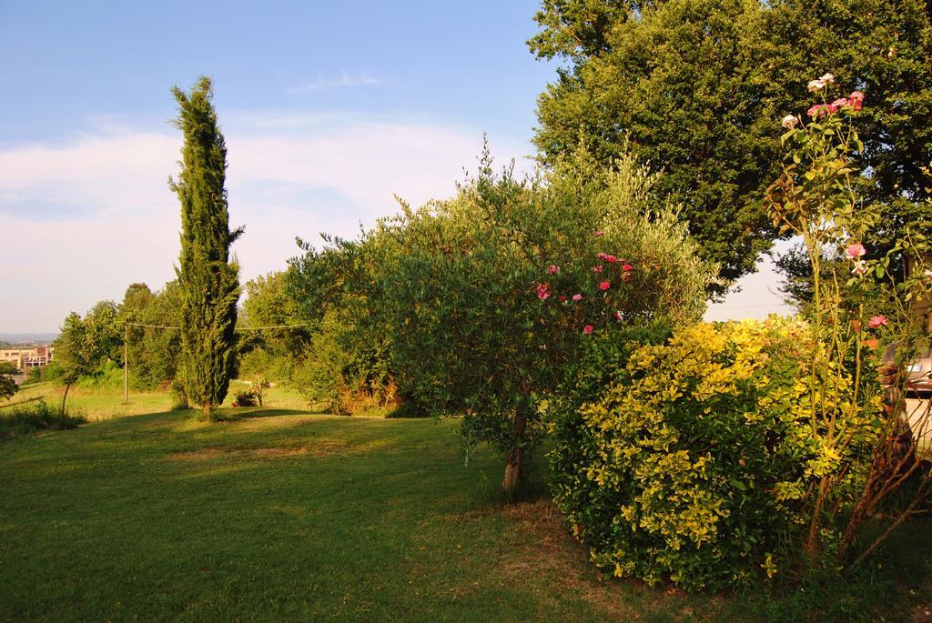 Il Colombaio, Siena -Appartamenti E Camere- Isola d'Arbia Luaran gambar