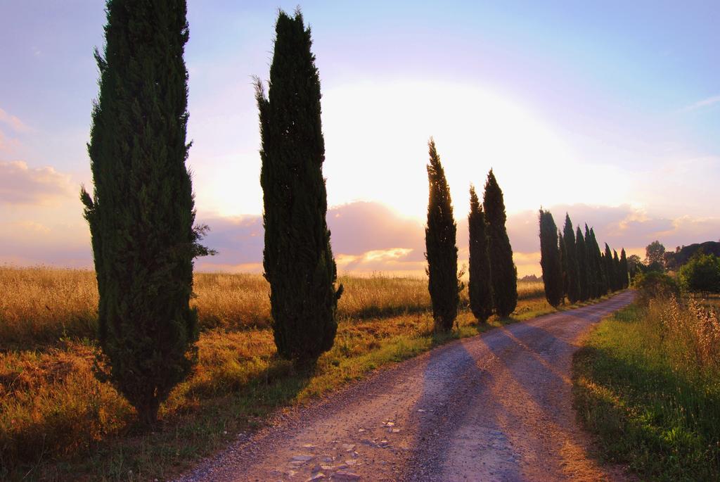 Il Colombaio, Siena -Appartamenti E Camere- Isola d'Arbia Luaran gambar